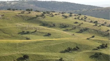 طقس الأردن.. خارطة درجات الحرارة وفرص هطول الأمطار المتوقعة يوم الخميس